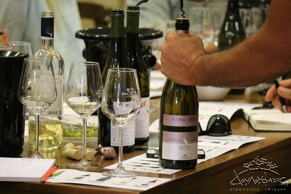 Australian wine professionals at our winery